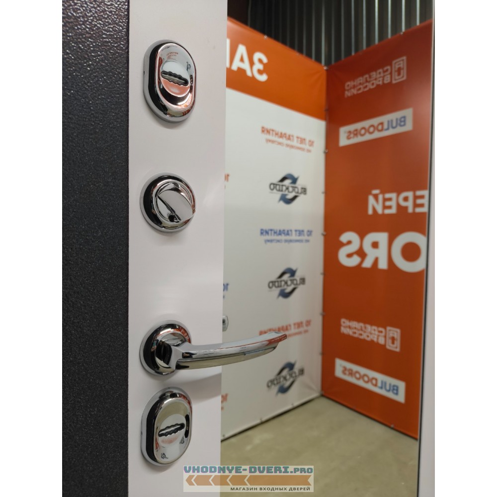 Дверь Бульдорс TERMO MIRROR